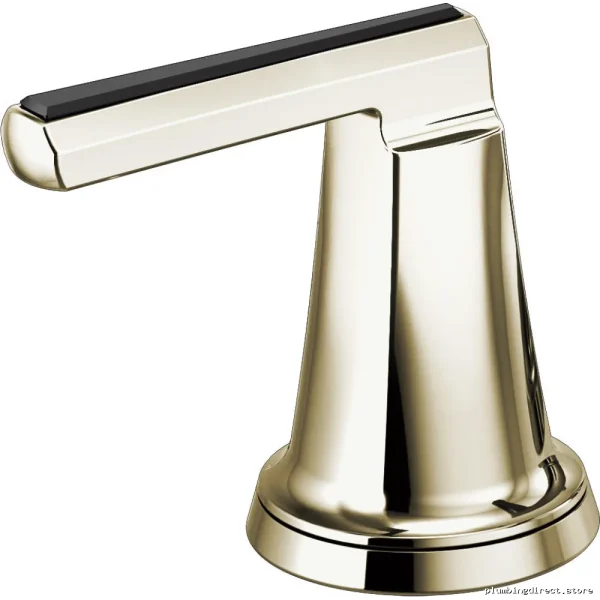 Levoir Faucet Handles - Polished Nickel & Black Crystal Pair (HL5398-PNBC) Brizo
