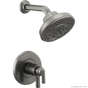 Thermostatic Shower Trim in Luxe Steel with Temperature Control - Levoir Brizo T60298-SL