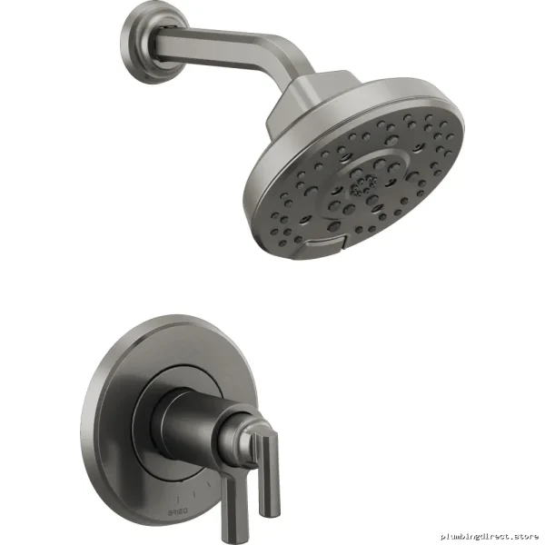 Thermostatic Shower Trim in Luxe Steel with Temperature Control - Levoir Brizo T60298-SL