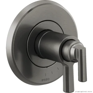 Levoir TempAssure Thermostatic Shower Valve Trim - Durable Luxe Steel T60098-SL