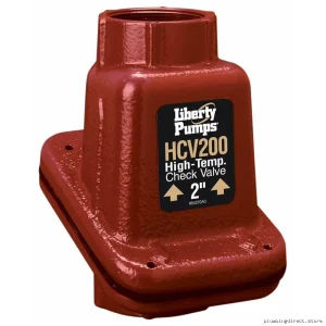 Liberty Pumps HCV200 High Temp 2 CI NPT Check Valve for Reliable Flow