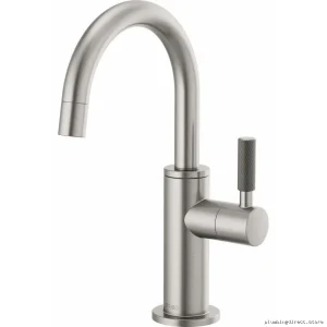 Stainless Steel Commercial Beverage Faucet by Litze & Brizosse – Modern Design with Durable Build