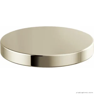 Litze Durable Venetian Bronze Garden Hole Cover - Brizo RP90934PN Drain Cover