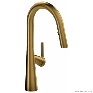 Ludik Brushed Gold Kitchen Faucet with Pull-Down Spray - LK101BG
