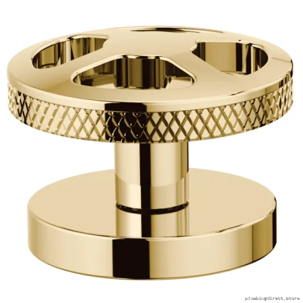 Widespread Bathroom Faucet Wheel Handle Kit - Luxe Gold Finish Brizo