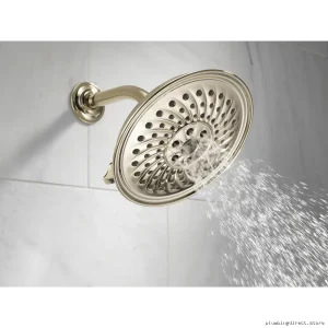 Luxe Steel Shower Arm | Brizo RP40593PN – Premium Bathroom Arm for Modern Fixtures