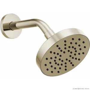 Luxury Brizo Polished Nickel Shower Head - 5" Round Single Function