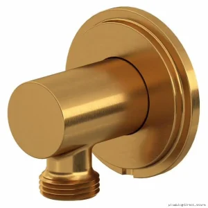 Luxury Brushed Gold Handshower Outlet - RIOBEL 740BG