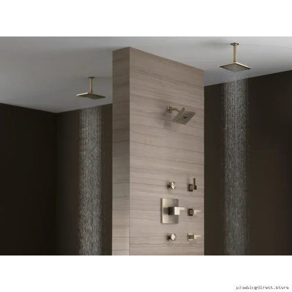 Luxury Brushed Nickel Ceiling-Mount Rain Shower Head - Brizo - Image 2