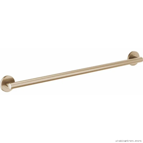 Luxury Contemp Bath Safety Support – Luxe Gold Finish | Brizo