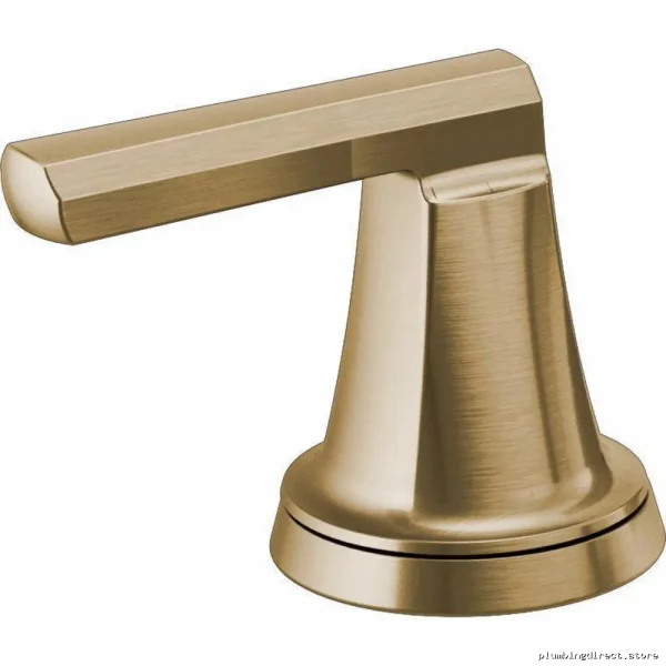 Luxury Gold Bidet Toilet Lever Handle Kit - Brizo HL6898-GL