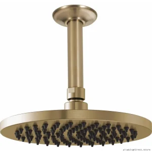 Luxury Gold Rainfall Shower Head - Brizo Round Spray & Full Coverage