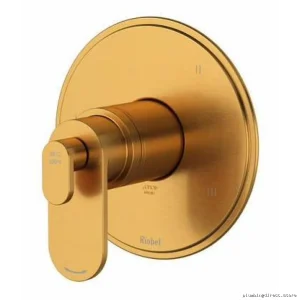 Luxury Gold Thermostatic Valve with 5 Spray Functions