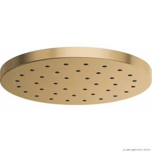 Luxury High Flow Round Raincan Showerhead H2OKinetic Brizo Model #GL-81987
