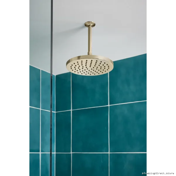 Luxury High-Pressure Round Rainfa ll Spray PolishNickel Finish - Image 2