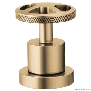 Luxury Roman Tub Faucet Handle Kit - Gold Finish Brizo HW632-GL
