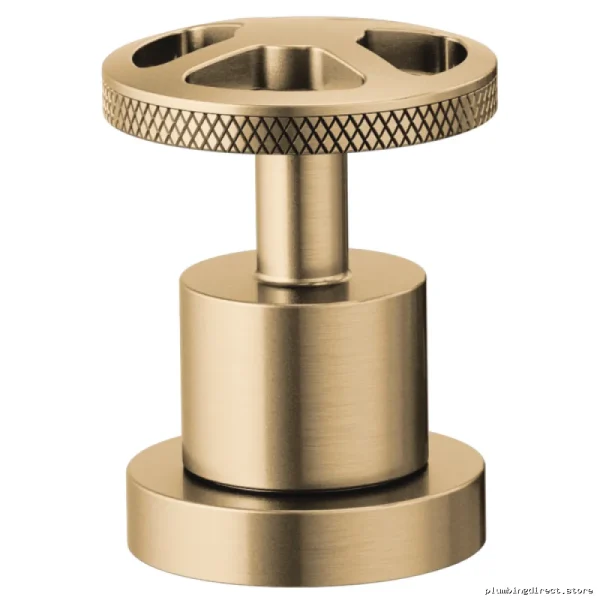 Luxury Roman Tub Faucet Handle Kit - Gold Finish Brizo HW632-GL