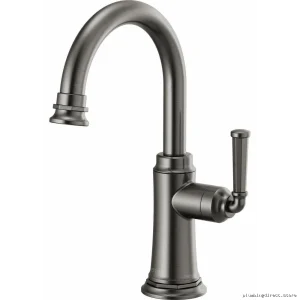 Luxury Stainless Steel Kitchen Beverage Faucet by Brizo