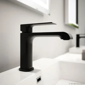 Matte Black Single Hole Bathroom Faucet with Push Drain - Sobrio BF1779