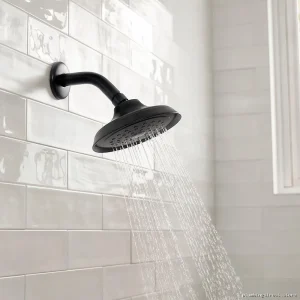 Hansgrohe Joleena 150 Single-Function Shower Head - Matte Black Finish