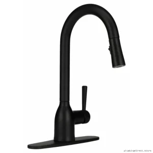 Pull-Down Spray Kitchen Faucet in Matte Black Finish - Adler