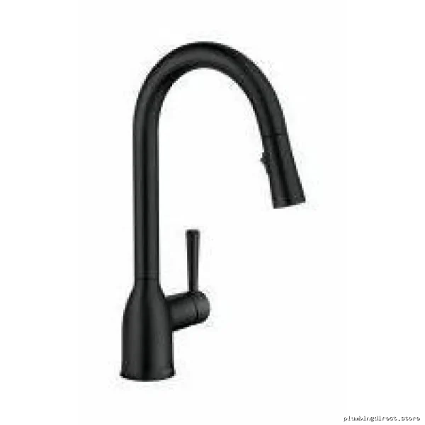 Pull-Down Spray Kitchen Faucet in Matte Black Finish - Adler - Image 2