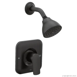 Matte Black Temperature-Controlled Shower Trim with Easy Install