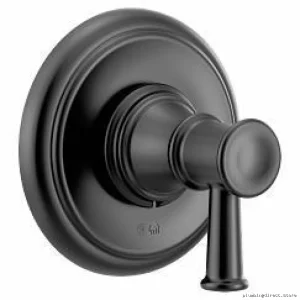 MatteBlackTransferValveTrimforMoenBefeldUT