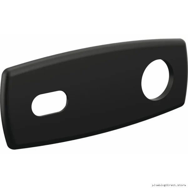 Matte Black Wall Mount Back Plate for 2-Hole Single-Handle Faucet - Brizo