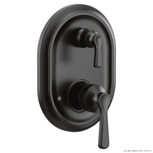 MatteBlack IntegratedDvrtrValveTrimForMoCoCore