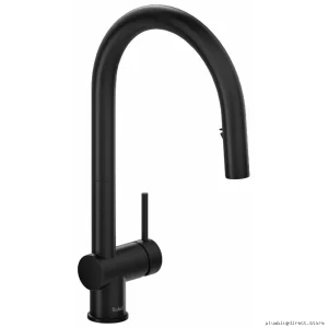 Modern Kitchen Faucet with Pull-Down Spray - Black Finish RIOBEL AZ201BK