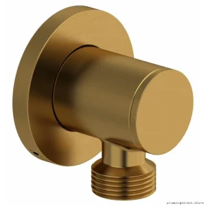 Modern Brushed Gold Shower Head – RioBel Luxury Bathroom Accessory
