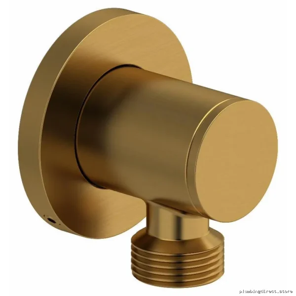 Modern Brushed Gold Shower Head – RioBel Luxury Bathroom Accessory
