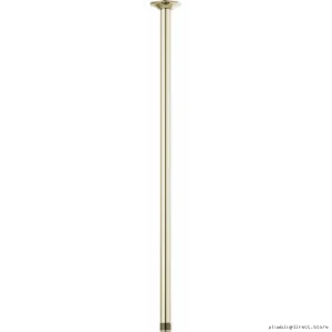 Modern Design Ceiling-Mounted Shower Arm w/Round Flange & Polished Nickel Finish | Briz...