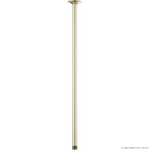 Modern Design Ceiling-Mounted Shower Arm w/Round Flange & Polished Nickel Finish | Briz...