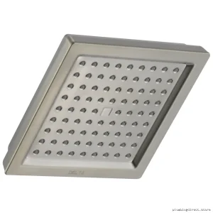 Raincan 1-Setting Modern Delta Shower Head - Durable Stainless Steel 52283-SS