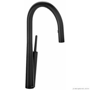 Modern Kitchen Faucet with Pull-Down Spray Black SC101BK RIOBEL Faucet