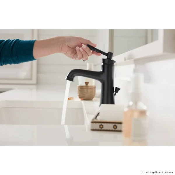 Modern Matte Black Single-Hole Bathroom Faucet - Joleena - Image 3