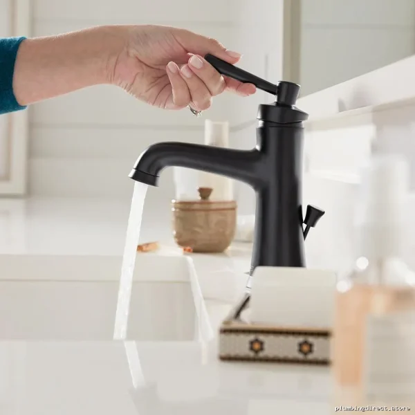 Modern Matte Black Single-Hole Bathroom Faucet - Joleena