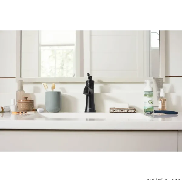 Modern Matte Black Single-Hole Bathroom Faucet - Joleena - Image 4