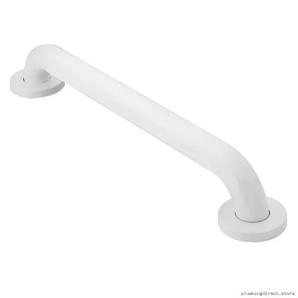 Moen 16-Inch Stainless Steel Bathroom Grab Bar - Safety & Stability