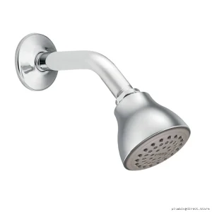 Water-Saving High-Pressure 2.5-Inch Chrome Showerhead 6304EP - Moen