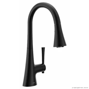 Moen F9126BL Advanced 3-in-1 Filtration Faucet with Pull-Down Spray, Matte Black Kitchen Fixture