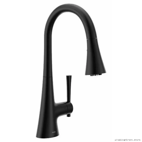 Moen F9126BL Advanced 3-in-1 Filtration Faucet with Pull-Down Spray, Matte Black Kitchen Fixture