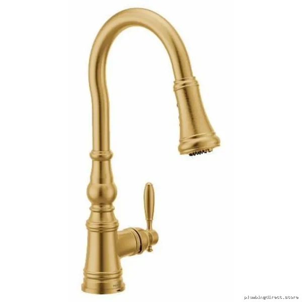 Moen FS73004BG 3-in-1 Filtration Pull-Down Kitchen Faucet Brushed Gold