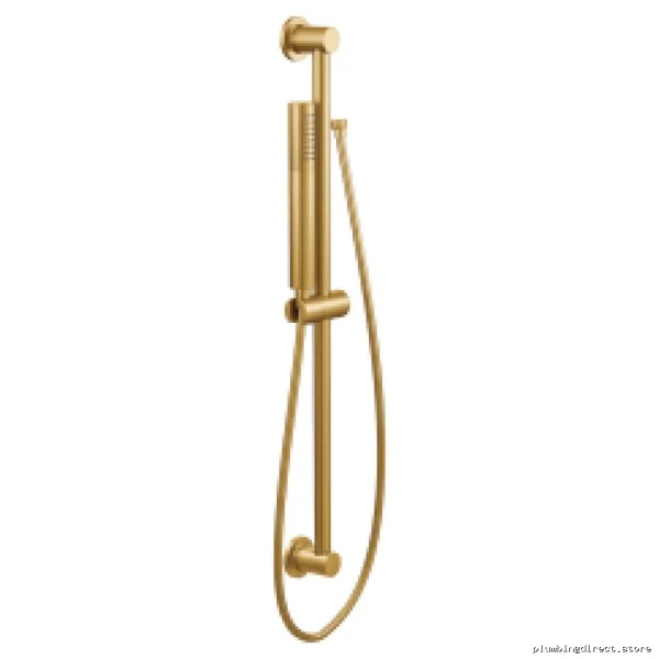 Moen 3887EPBG Single-Function Hand Shower - Adjustable Slide Bar, Brushed Gold, Water-Saving Design
