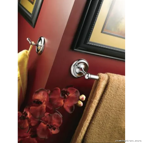 Double Robe Hook Chrome Finish - Moen 5303CH Stainless Steel Yorkshire