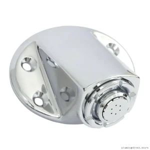 Moen 8290EP15 Chrome Vandal-Resistant Shower Head for Secure Bathrooms