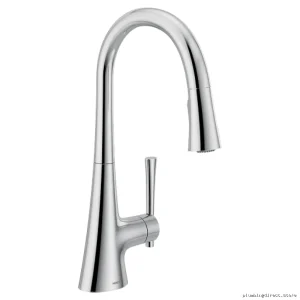 Moen 9126 Kurv Kitchen Faucet - Chrome Finish Pull-Down Spray with Easy-Clean Head