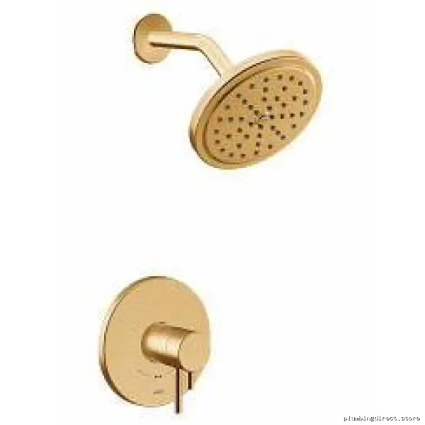 Premium Moen Align Eco-Friendly Gold Shower Trim